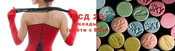 молекула духа Пересвет