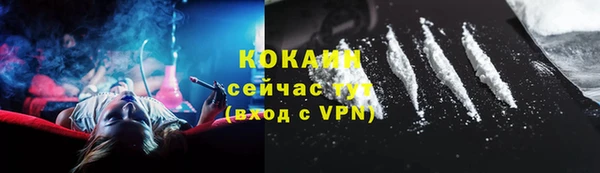 2c-b Пестово