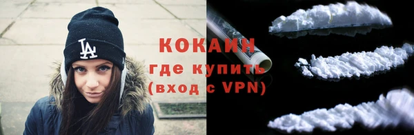 2c-b Пестово