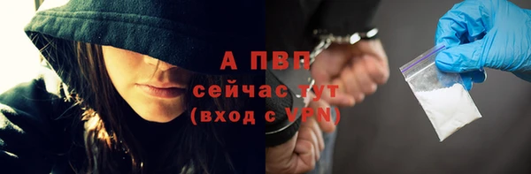 2c-b Пестово