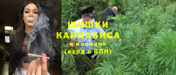 молекула духа Пересвет