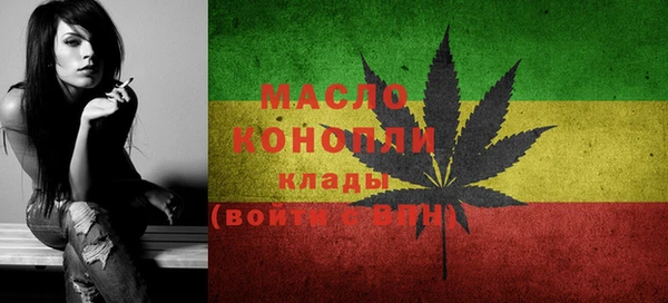 2c-b Пестово