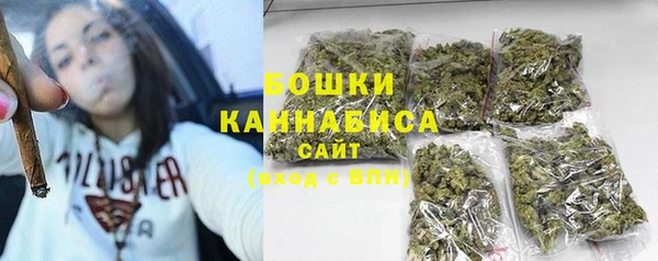 2c-b Пестово