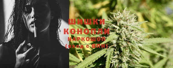 молекула духа Пересвет