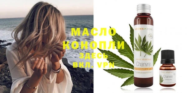 молекула духа Пересвет