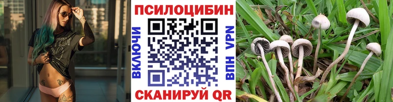 Псилоцибиновые грибы мицелий  наркотики  Красавино 